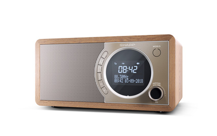 Sharp DAB+FM Bluetooth Digital Radio - DR-450(BR)